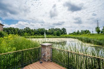 Community pond